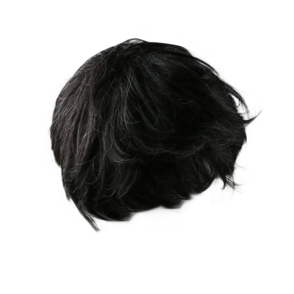 Fridja Wigs Cosplay Short Natural Hair Mixed Dark Black Handsome Wig Men's