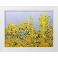 thumbnail image 1 of Friedlander, Allan 24x19 White Modern Wood Framed Museum Art Print Titled - Clinging Vines, 1 of 4