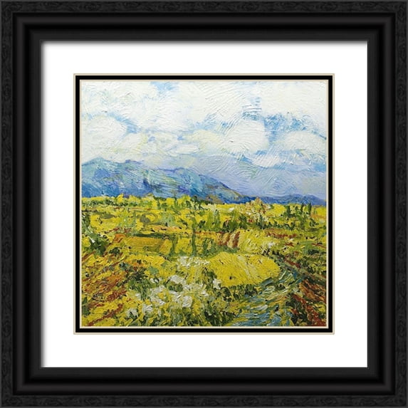 Friedlander, Allen 20x20 Black Ornate Wood Framed with Double Matting Museum Art Print Titled - Going 120