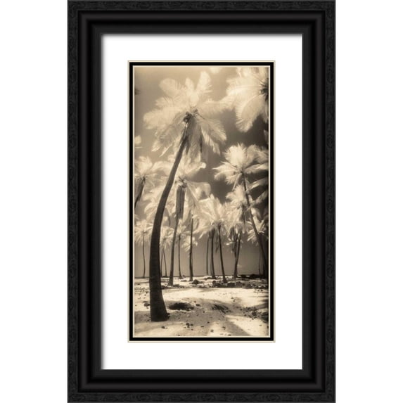 Friedman, Susan 11x18 Black Ornate Wood Framed with Double Matting Museum Art Print Titled - Palm Shadows I