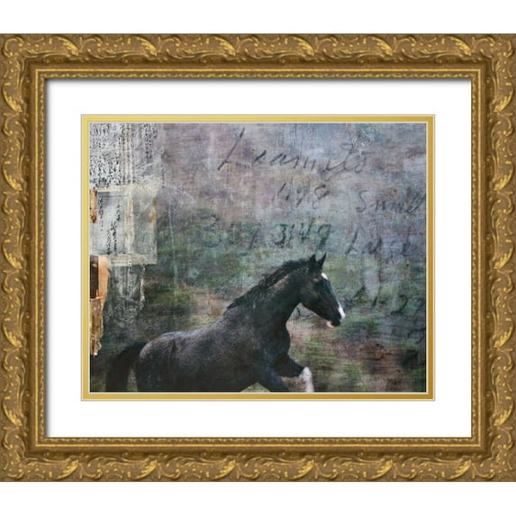 Friedman, Susan 14x12 Gold Ornate Wood Framed with Double Matting Museum Art Print Titled - Horse Exposures I