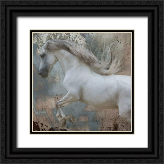 Friedman, Susan 15x15 Black Ornate Wood Framed with Double Matting Museum Art Print Titled - Horse Exposures IV