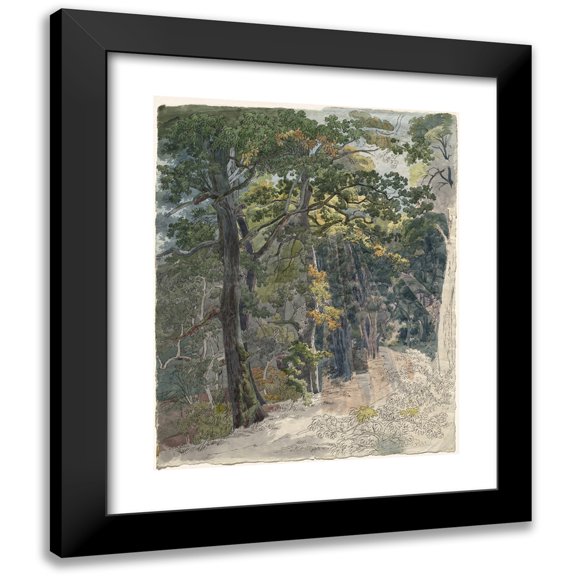 Friedrich Salathé 12x14 Black Modern Framed Museum Art Print Titled - Rays of Sunlight Striking a Woodland Path (C. 1815)