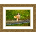 thumbnail image 1 of Friel, Bernard 18x13 Gold Ornate Wood Framed with Double Matting Museum Art Print Titled - USA-Florida-Sarasota-Myakka River State Park-Preening Great Blue Heron, 1 of 4