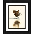 thumbnail image 1 of Friel, Bernard 18x24 Black Ornate Wood Framed with Double Matting Museum Art Print Titled - USA-Florida-Sarasota-Myakka River State Park-Wading Bird-Feeding-Limpkin, 1 of 4