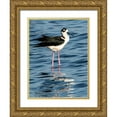 thumbnail image 1 of Friel, Bernard 19x24 Gold Ornate Wood Framed with Double Matting Museum Art Print Titled - USA-Florida-Sarasota-Myakka River State Park-Black-necked Stilt, 1 of 4