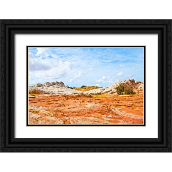 Friel, Bernard 24x17 Black Ornate Wood Framed with Double Matting Museum Art Print Titled - USA-Arizona-Vermilion Cliffs National Monument White Pocket