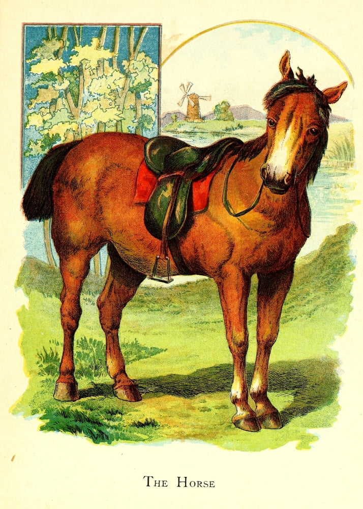 Friendly Animals 1905 Horse Canvas Art - Unknown (18 x 24)
