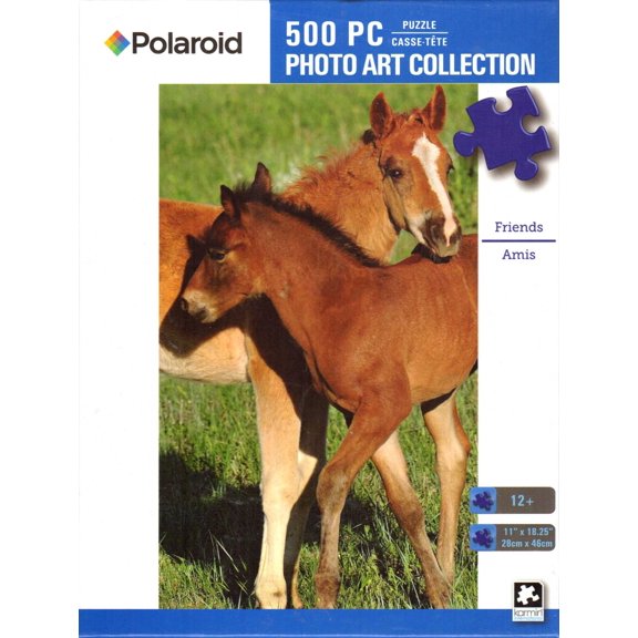 Friends 500 Piece Puzzle