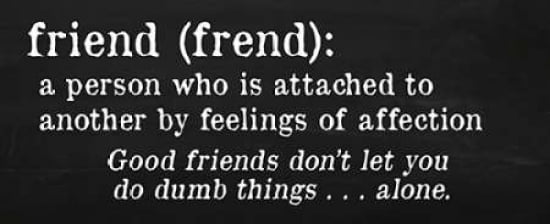 Friends Definition Canvas Art - Anna Quach (10 x 20)