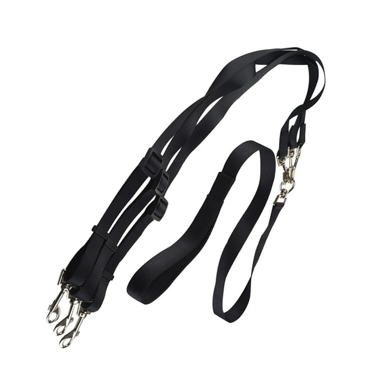 Friends forever leash best sale