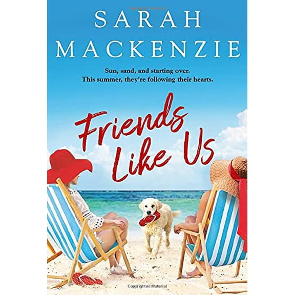 Pre-Owned Friends Like Us (Mass Market Paperback) 1538718901 9781538718902