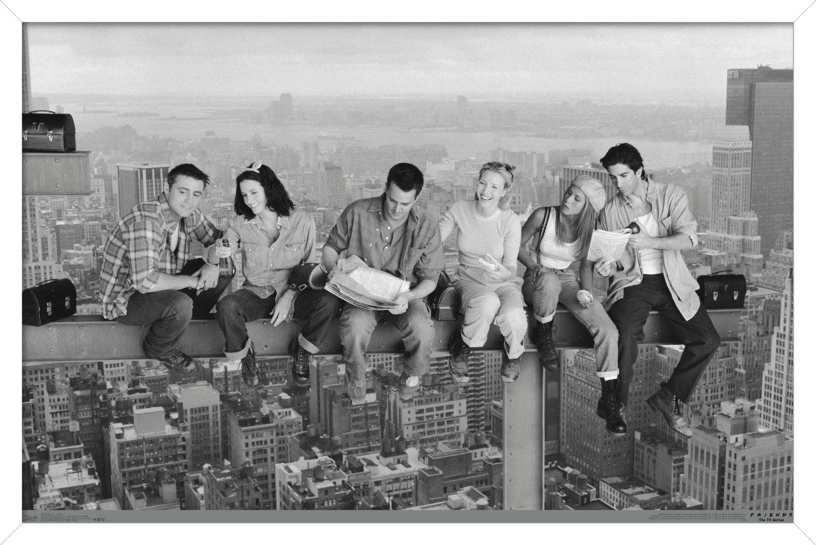 Friends - Posed Wall Poster, 14.725" x 22.375", Framed