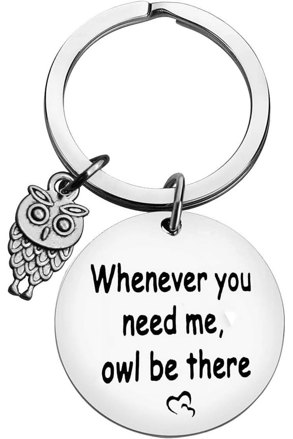 Friendship Gift Keychain Best Friend Keyring Gift Whenever You Need Me Owl Be There Key Chain Friendship Jewelry Long Distance Friendship Gifts Birthday Graduation Gifts for Best Friend Sister