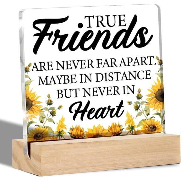 Friendship Gifts for Women Best Friends Bestie Clear Desk Sign Friendship Acrylic Sign with Stand Table Plaque Sign Keepsake Gift 4x4 Inch