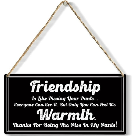 Friendship is Like Quote Wood Sign Rustic Friendship Wooden Hanging Plaque for Home Wall Art Decoration 10x5 Inch Present