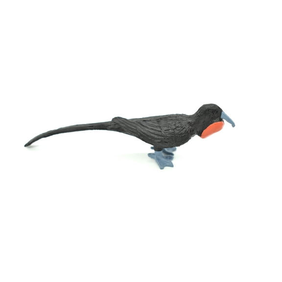 Frigatebird, Galapagos Islands Realistic Toy Model Plastic Replica Animal Kids Educational Gift 3.5" F1526 B150