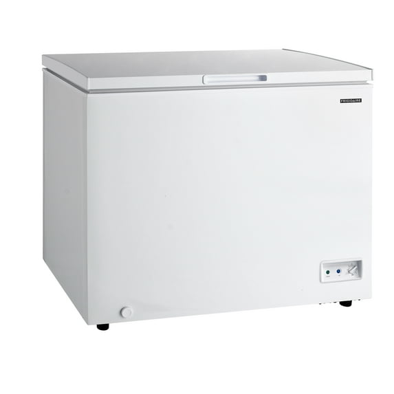 43.94 in. 10 cu. ft. Manual Defrost Ches