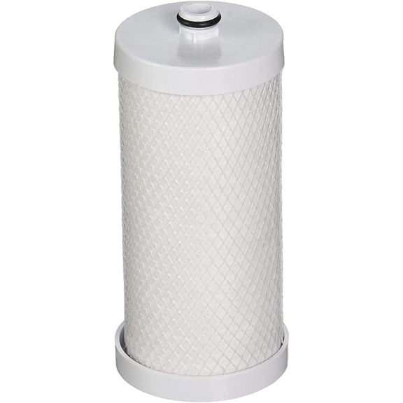 Frigidaire WFCB ,WF1CB ,469906 ,RG100 Refrigerator Water Filter