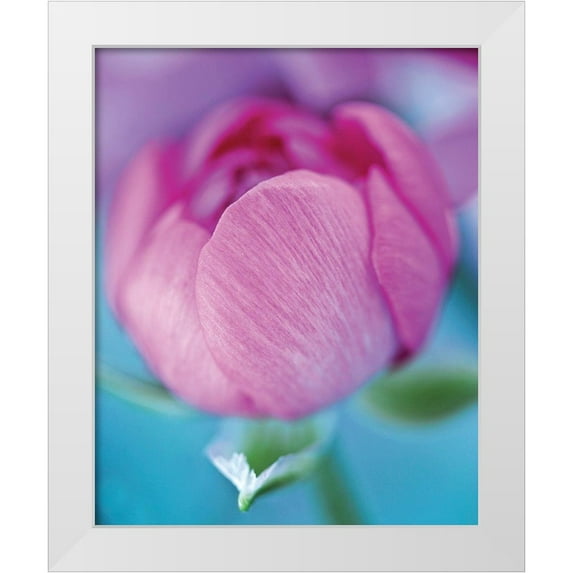 Friis-Larsen, Liv 15x18 White Modern Wood Framed Museum Art Print Titled - Rose en beaute