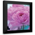 thumbnail image 1 of Friis-Larsen, Liv 20x24 Black Modern Framed Museum Art Print Titled - Roses Anglaises, 1 of 5