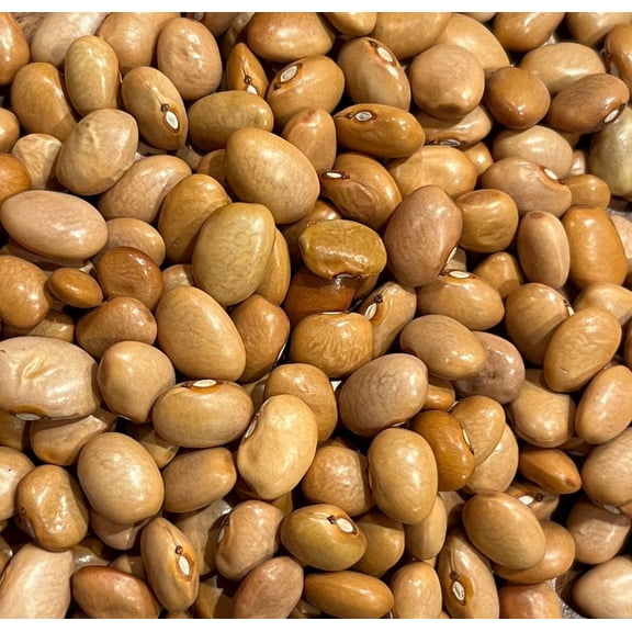 Sherwood's Seeds Butter Beans Heirloom Seed Packet, Frijoles de Mantequilla