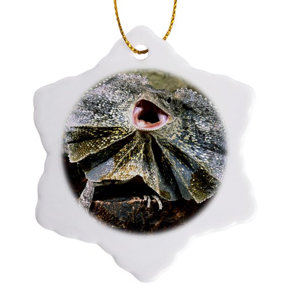 3drose, Frilled Lizard, Native to New Guinea - Na02 Dno0289 - David Northcott, 3 inch Snowflake Porcelain Ornament