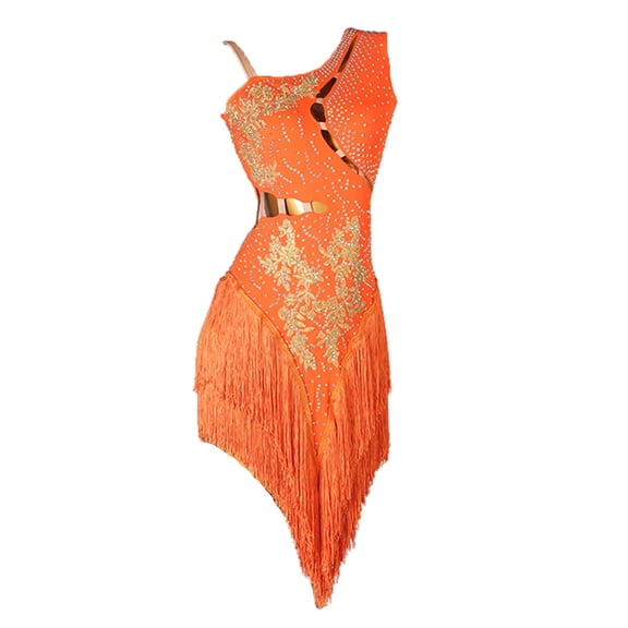 Fringe Latin Dance Dresses for Women. Professional competition. For cha cha, tango. Ballroom performance dancewear.