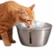 Frisco Stainless Steel Heart Pet Fountain   100-oz Circulating Water Bowl