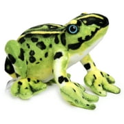 Frisco The Frog | 10 Inch Stuffed Animal Plush | By TigerHart Toys