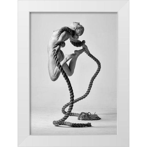 Fritz, Ray 18x24 White Modern Wood Framed Museum Art Print Titled - Antigravity