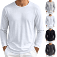 thumbnail image 1 of Frnrwgo Men's T-Shirt Regular Fit Long Sleeve Mesh Breathable Quick Dry Solid Color Athletic Gym Top, 1 of 7