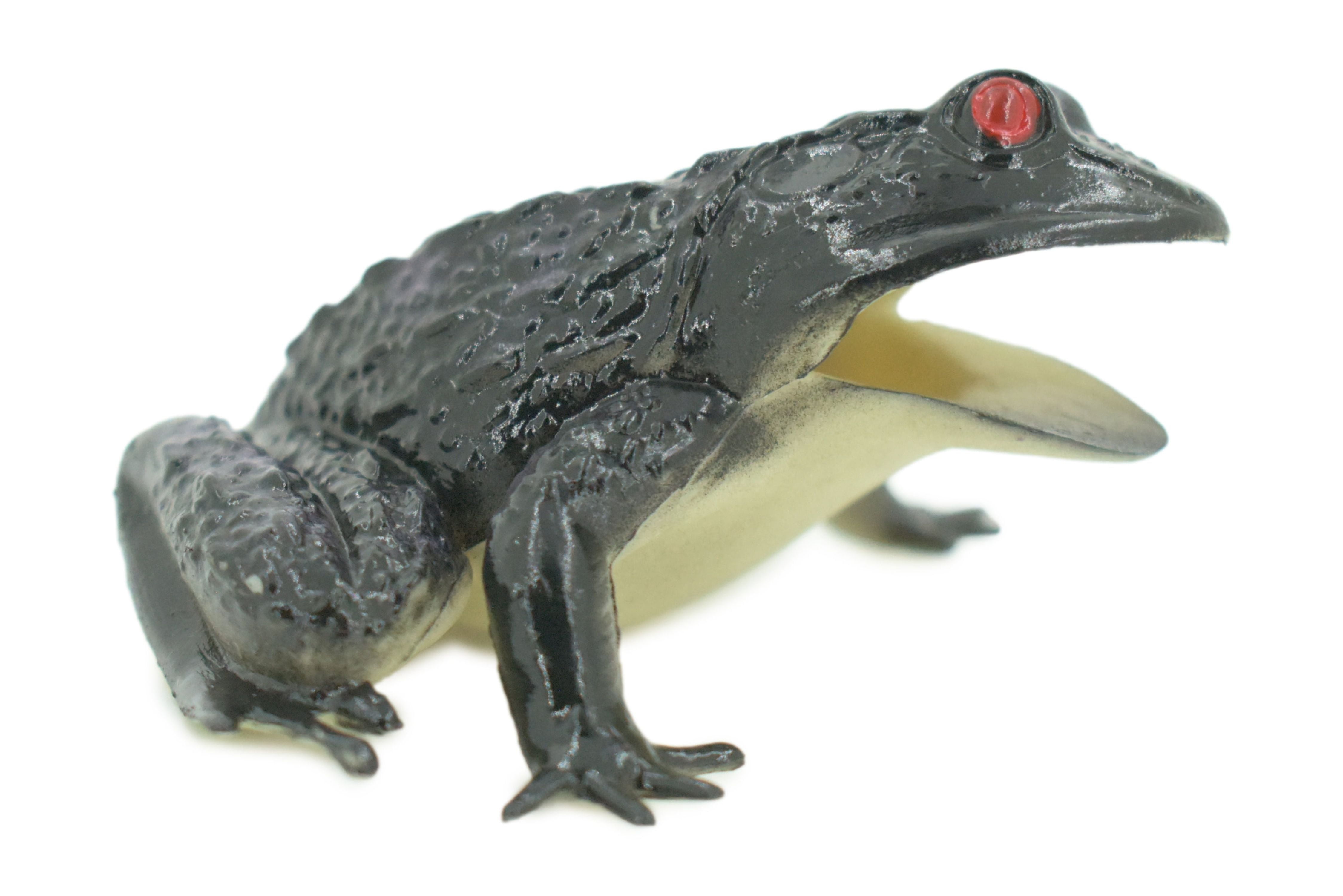 Frog, Black Frog, Toad, Rubber Toy, Realistic, Rainforest Amphibian ...