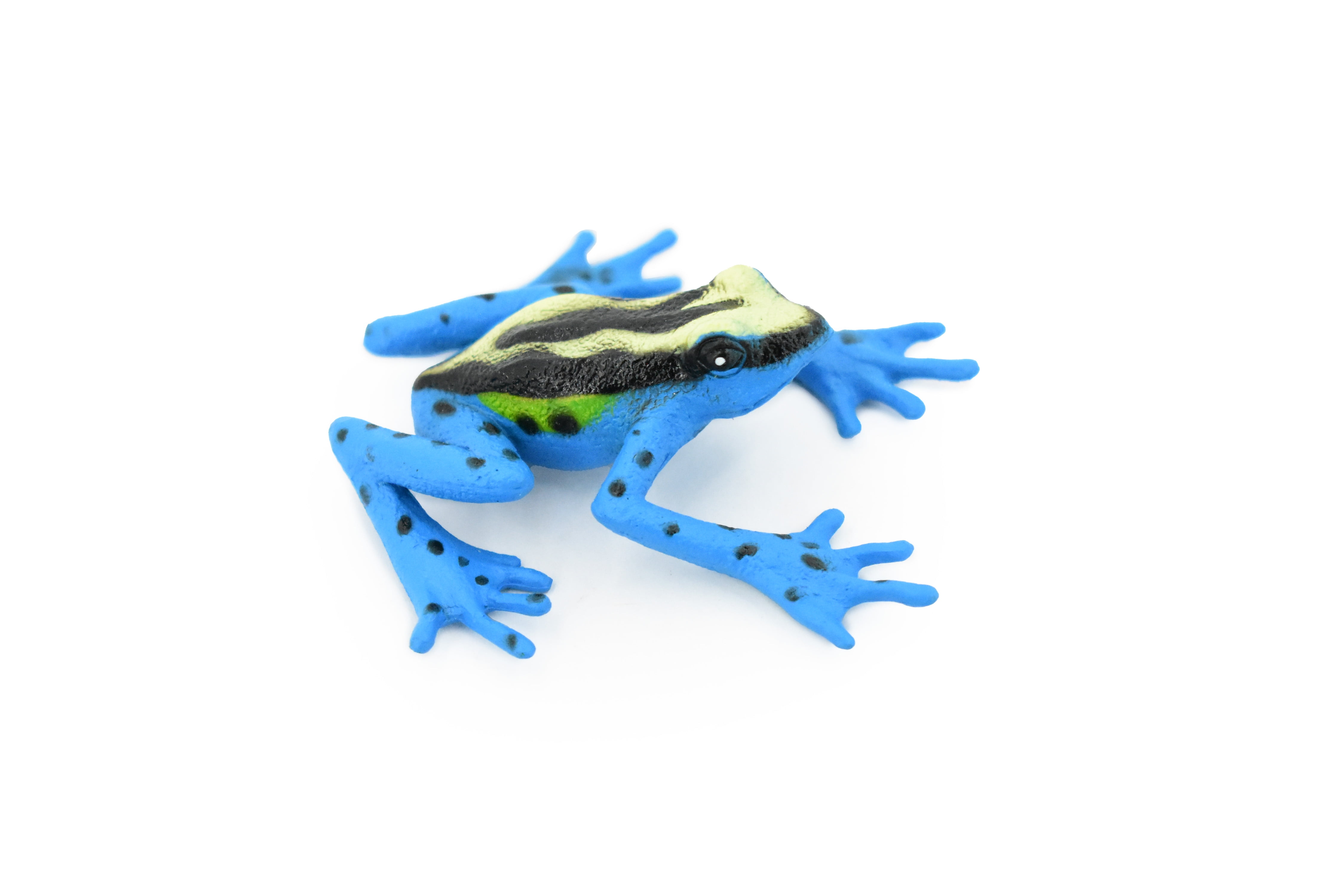 Frog, Blue Yellow Dyeing Dart Frog Plastic Toy Amphibian, Realistic ...
