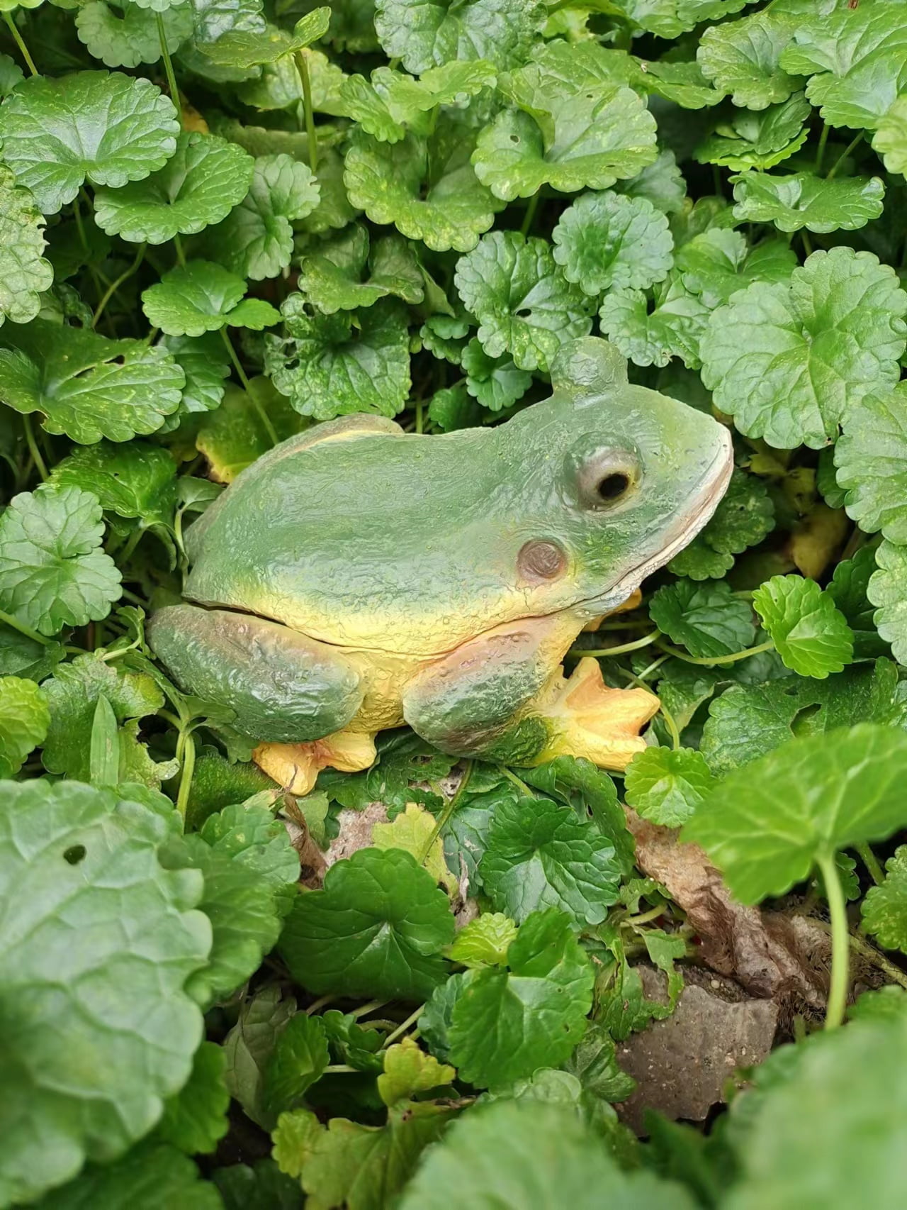 Frog Garden Key Hider Box Outdoor Key Storage Box Decorative Key Saving