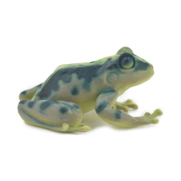 Frog, Green, Amphibians, High Quality, Hand Painted, Rubber, Realistic, Model, Replica, Toy, Kids, Educational, Gift, 2 1/2" RI34 B177