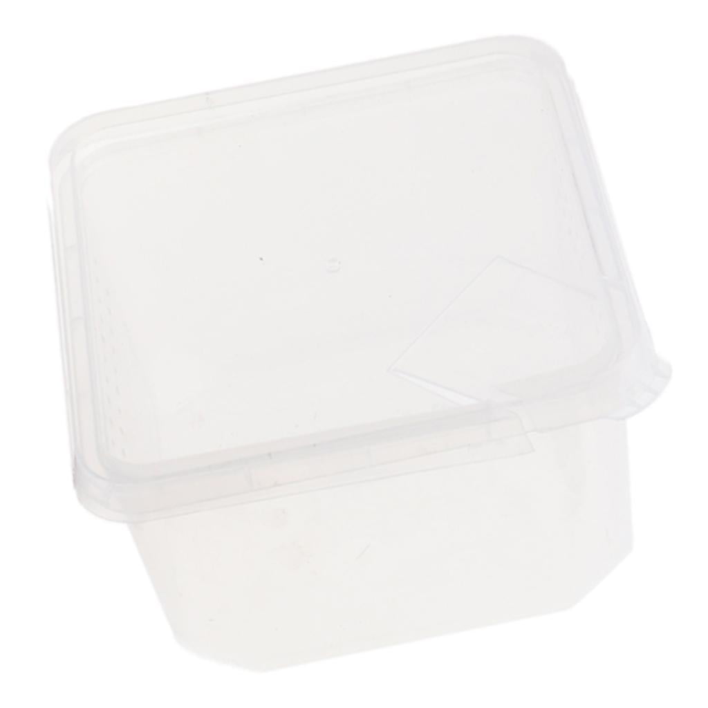 Frog Habitat Feeding Box Container REUSABLE 12x12x7cm - Walmart.com