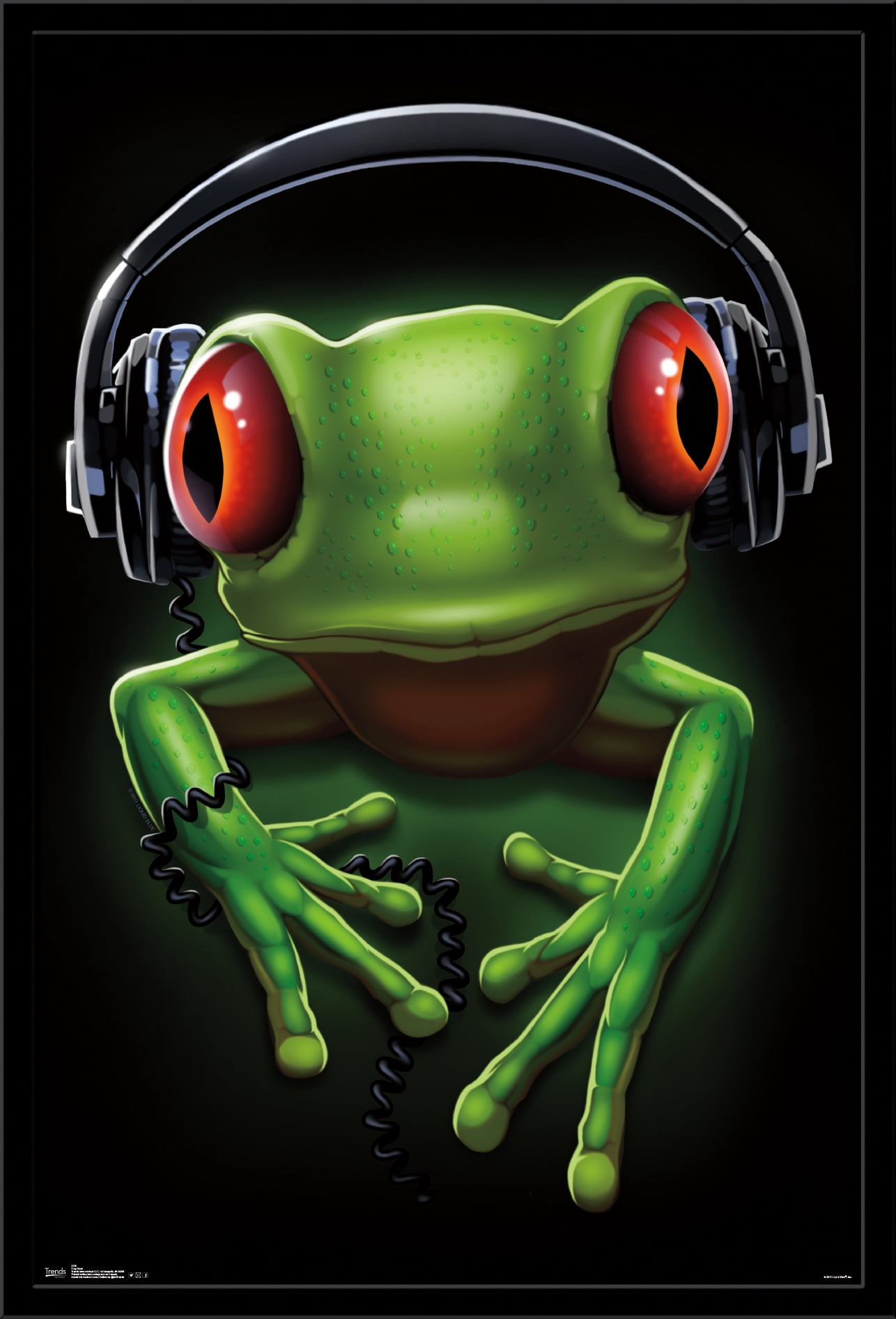 Frog - Headphones Wall Poster, 22.375" x 34", Framed