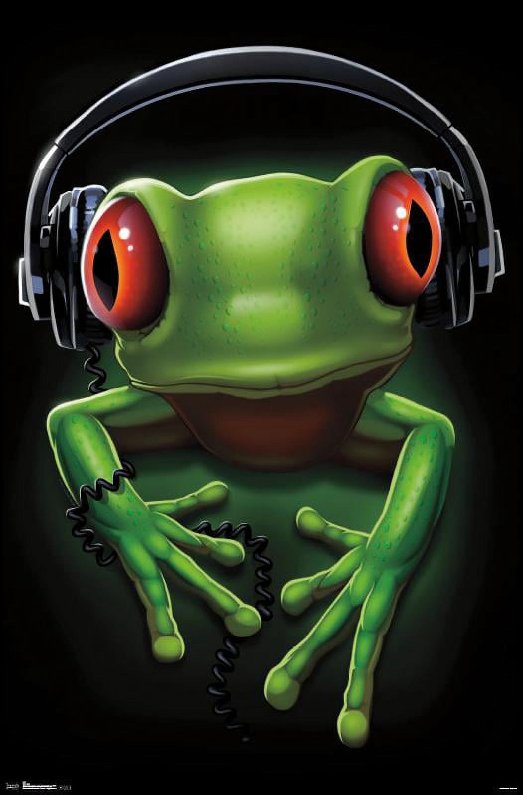 Frog - Headphones Wall Poster, 22.375" x 34"