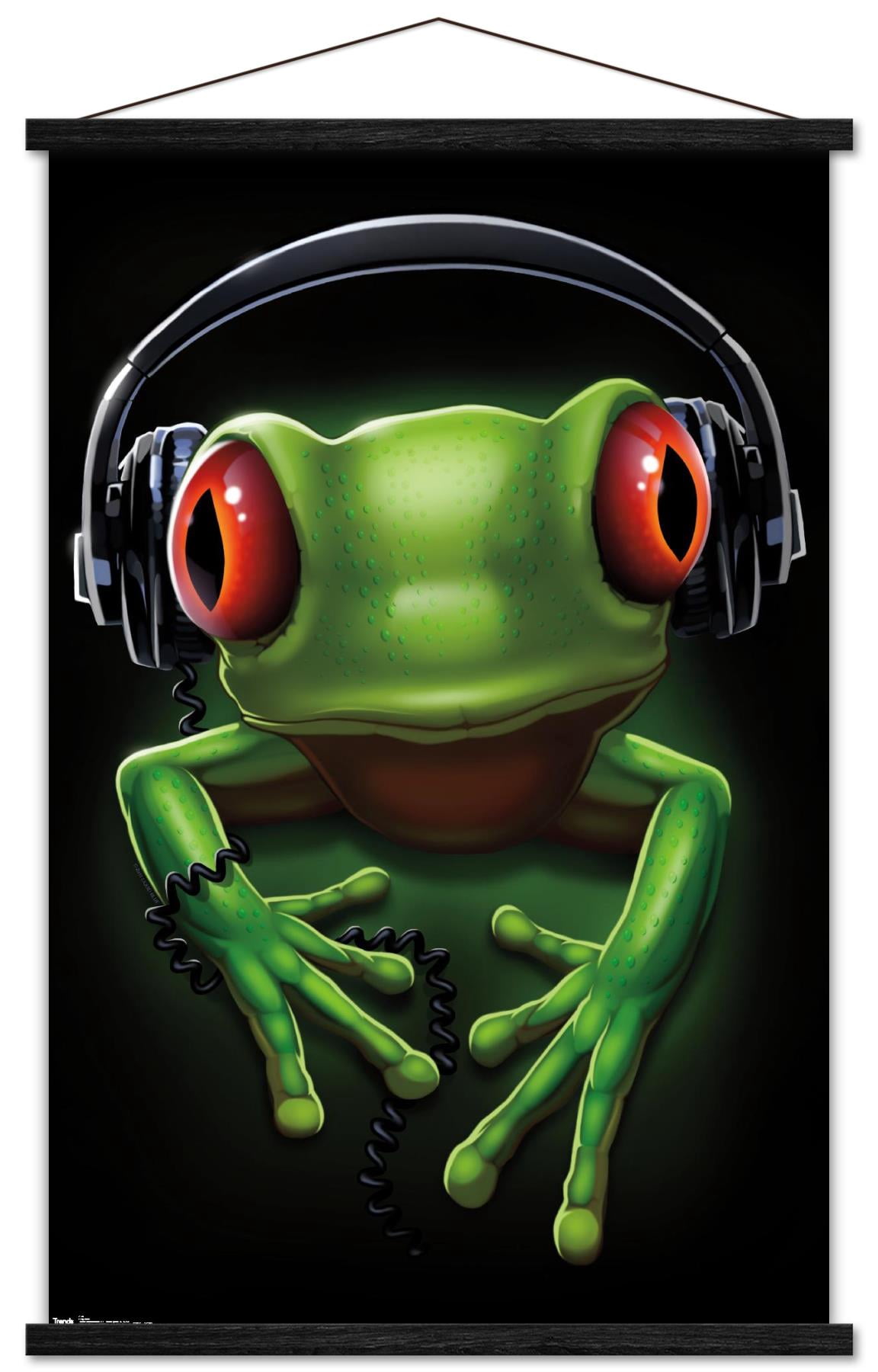 Audio Frog Display Frog - Headphones Wall Poster with Wooden Magnetic Frame, 22.375