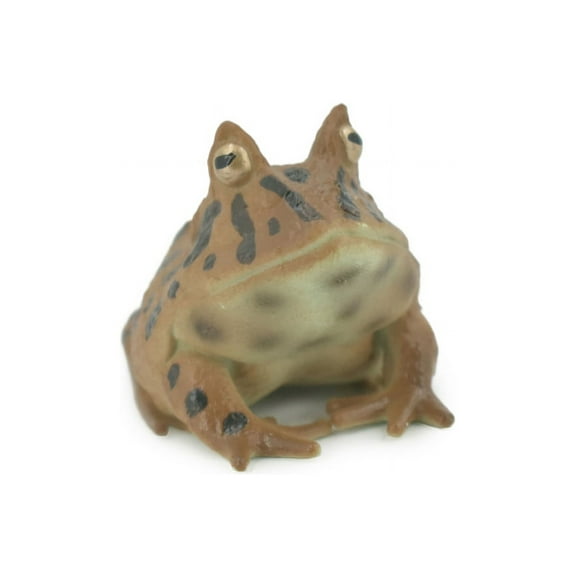 Frog, Horned Frog, Leptodactylidae, Museum Quality, Hand Painted, Rubber, Realistic Figure, Model, Replica, Toy, Kids, Educational, Gift, 2 1/2" CH542 BB159