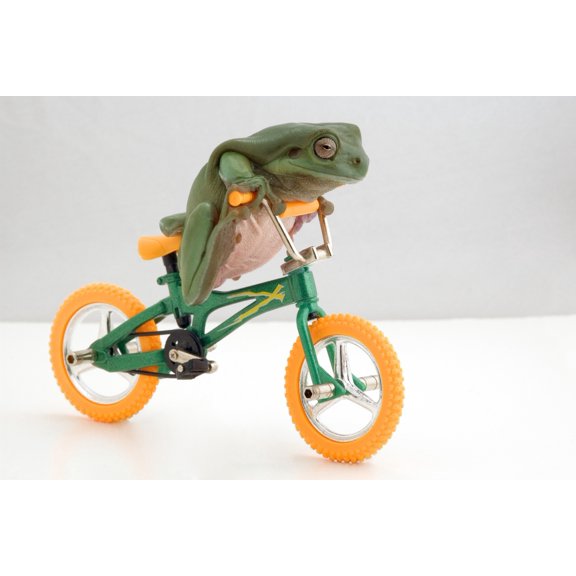 Frog On A Bicycle Canvas Art - Corey Hochachka  Design Pics (17 x 11)