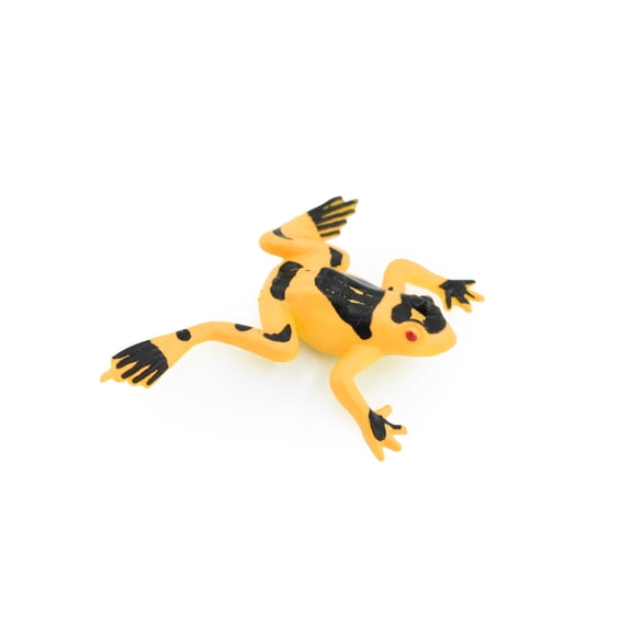 Frog, Orange Poison Dart Frog Plastic Toy Realistic Rainforest Figure Model Replica Kids Educational Gift 1.5" CWG25B47