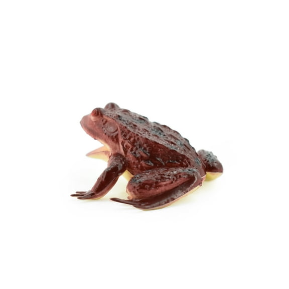 Frog, Red Frog Realistic Garden Rainforest Figure Model Replica Kids Educational Gift 3" F6088 B3