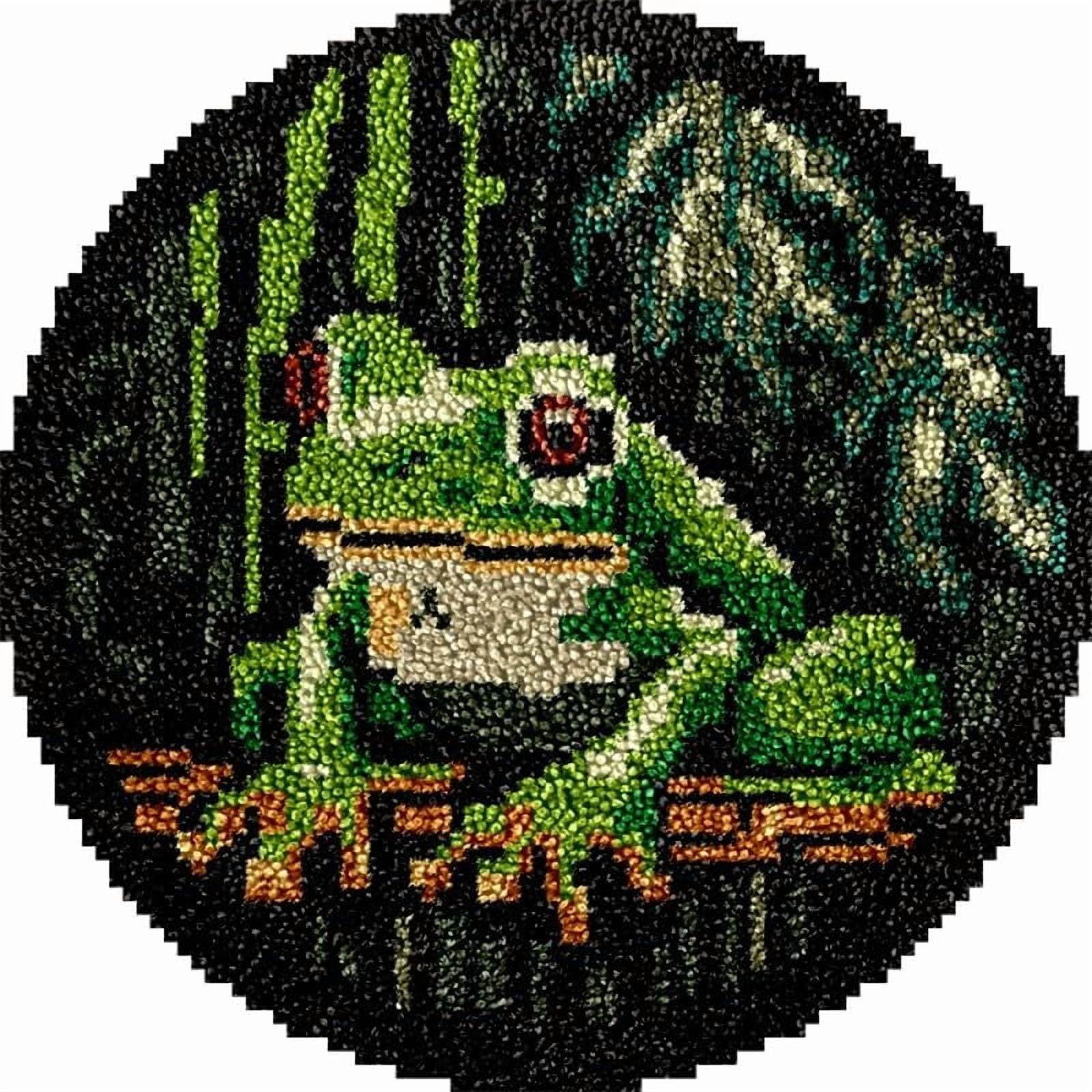 Frog Round Shape Latch Hook Rug Kits Set for Starter Crochet Hook Cushion Mat Sofa Seat Cushion Crocheting Kits with Preprinted Canvas Crochet Yarn Kits 50X50cm (ui103)