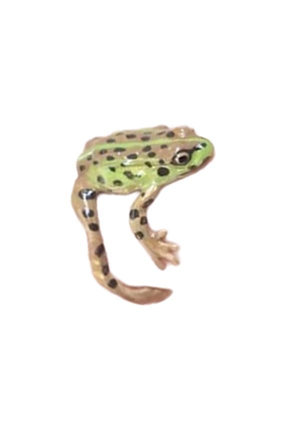 Frog Shape Rings Adjustable Size Fingers Rings Accessory Open Rings Stylish Jewelry for Daily Wear