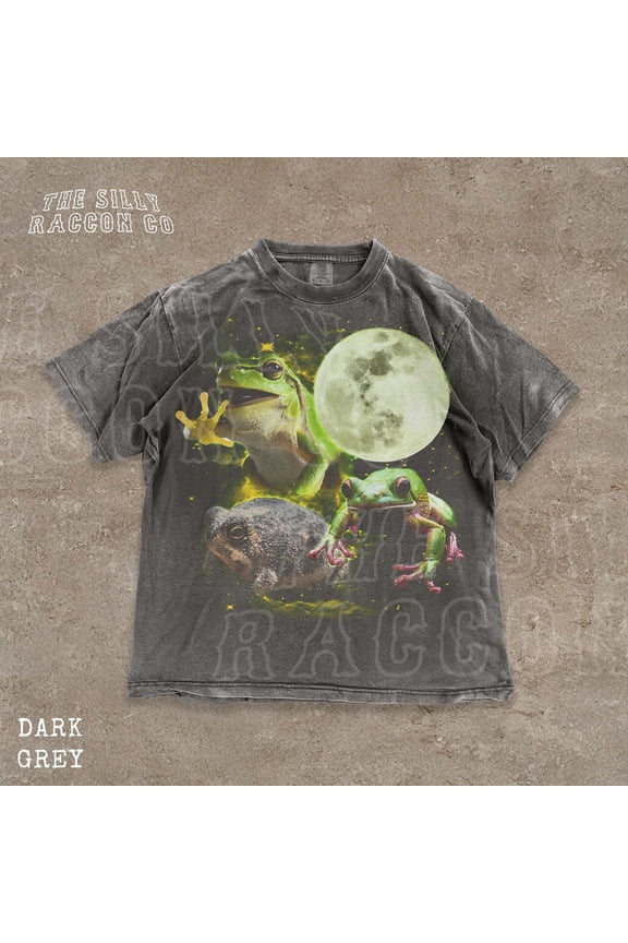 Frog Shirt Vintage Moon Phase T-Shirt Naturecore Tee Cottagecore Frog Lover Gift for Her Him Celestial Graphic Top for Men Women