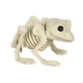 thumbnail image 1 of Frog Skeleton Halloween Decoration, 1 of 7