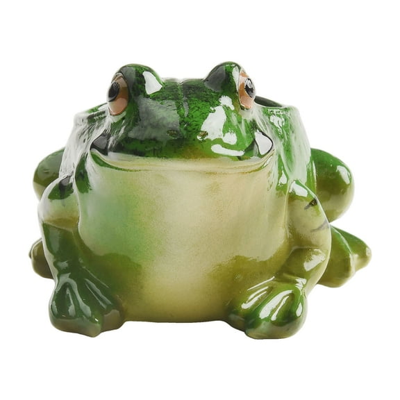 Frog Succulent Plant Pots Resin Frog Flower Pot Mini Frog Ornament Indoor Decor Smile Home