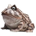 thumbnail image 1 of Frog Toad Sculptures Garden Statues Yard, Animal Gardening Gifts, Weather Resistant Garden Decoration Sculpture, Art Resin Decorations Outdoor Garden Decororation, 1 of 5